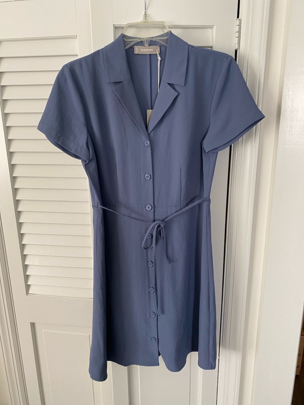Everlane Dusty Blue Short-Sleeve Button-Front Mini Dress
